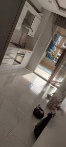 Emek Temizlik Firması